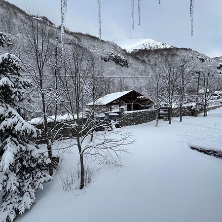 Biocinovici Vikendica Villa Kolašin Eksteriør billede