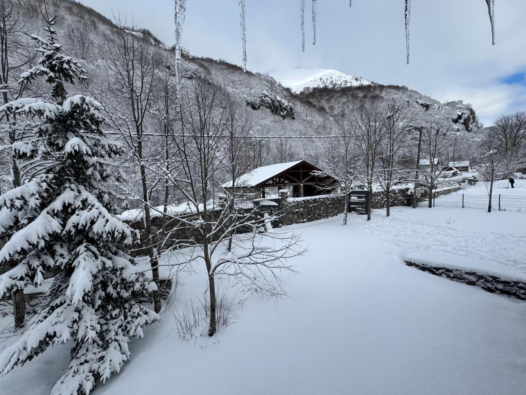 Biocinovici Vikendica Villa Kolašin Eksteriør billede